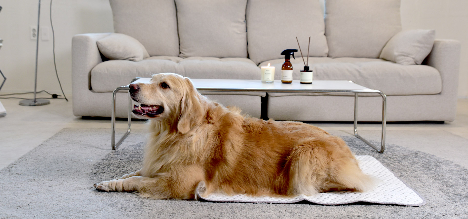 코티지 쿨 펫 패드 